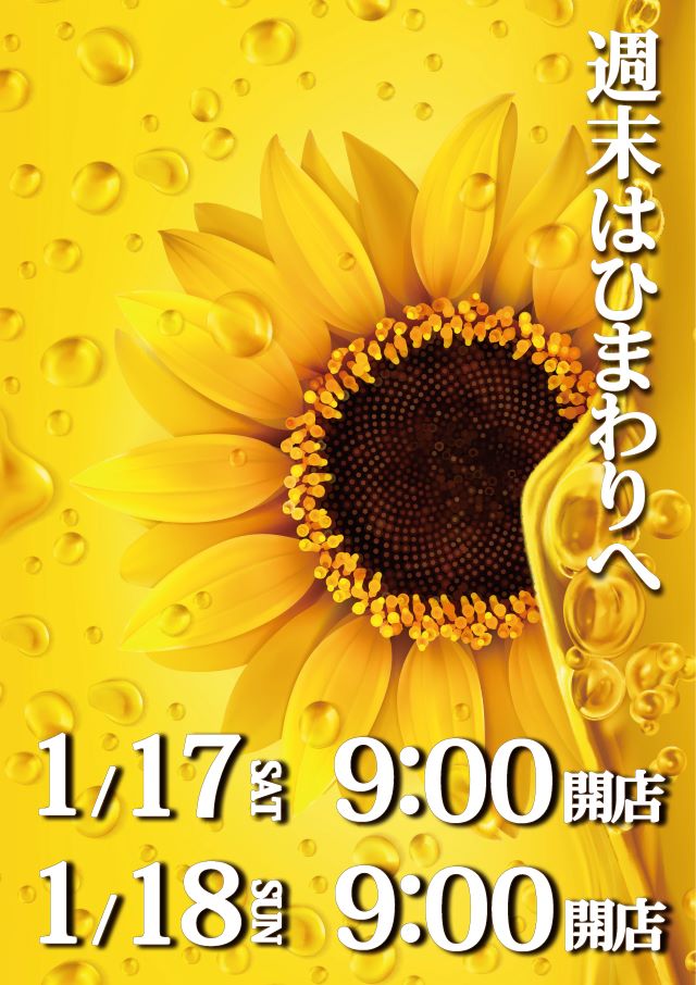 滝川ひまわりの最新情報画像