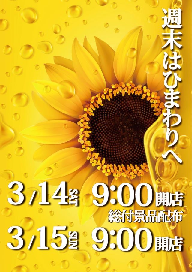 滝川ひまわりの最新情報画像