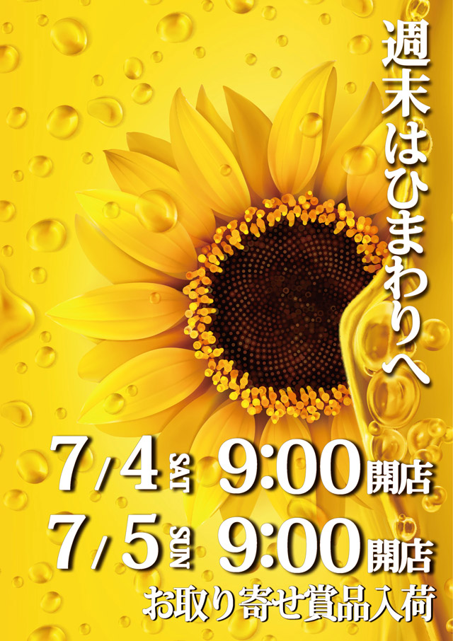 滝川ひまわりの最新情報画像
