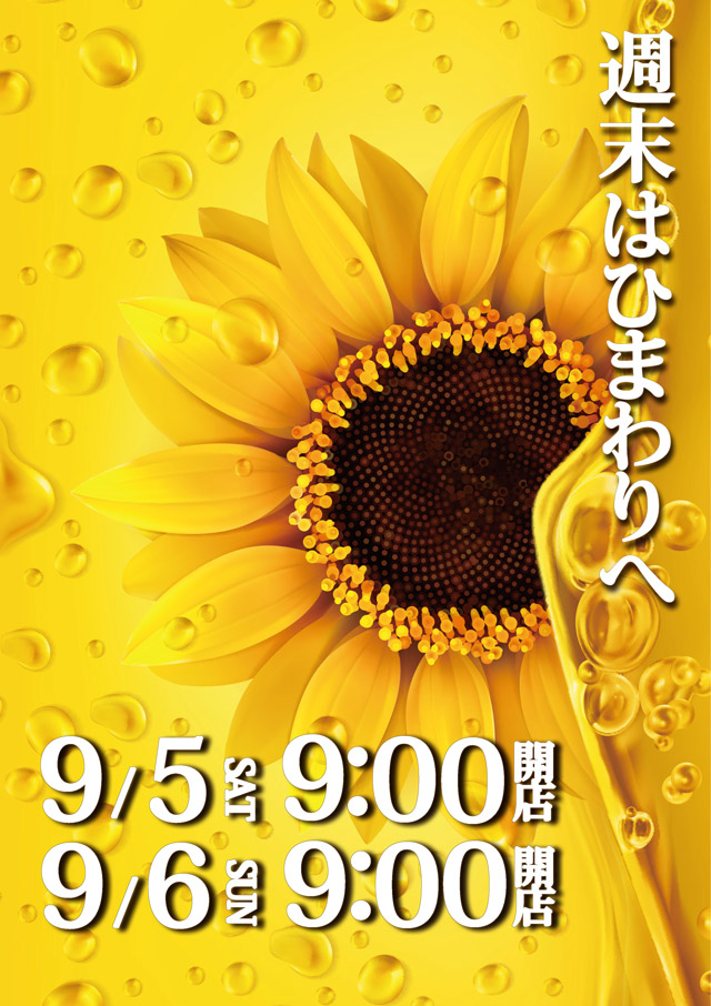 滝川ひまわりの最新情報画像