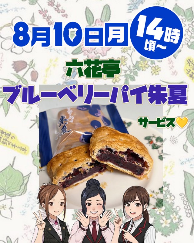 エルシティの最新情報画像
