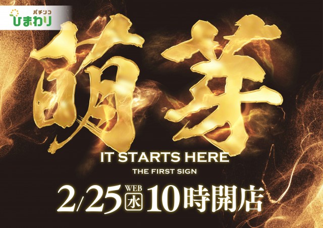 音更ひまわりの最新情報画像