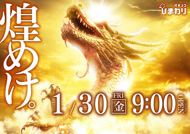 音更ひまわりの最新情報画像