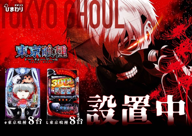 音更ひまわりの最新情報画像