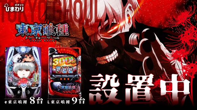 音更ひまわりの最新情報画像