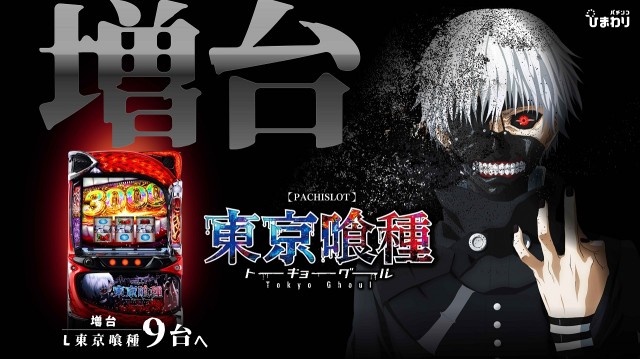 音更ひまわりの最新情報画像