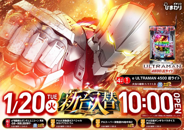 音更ひまわりの最新情報画像