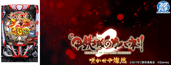 音更ひまわりの最新情報画像