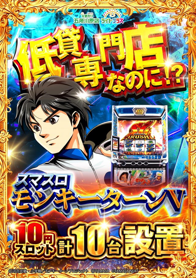 五所川原ひまわりの最新情報画像