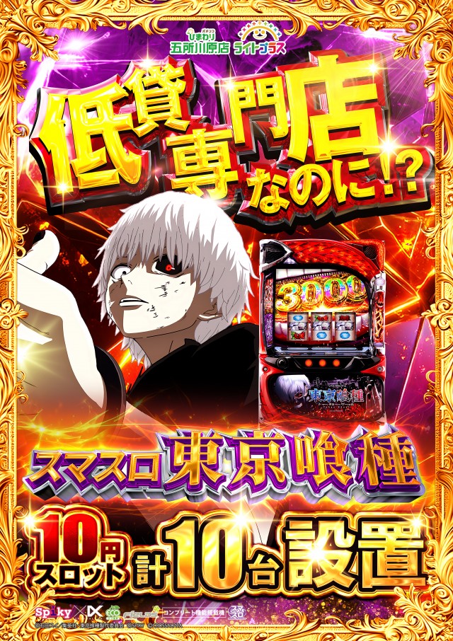 五所川原ひまわりの最新情報画像