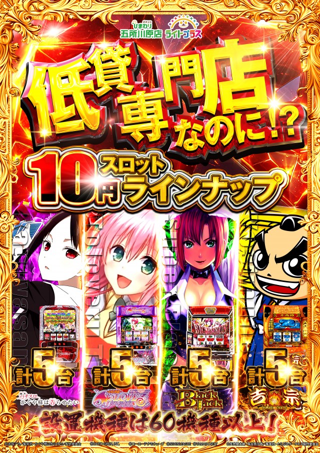 五所川原ひまわりの最新情報画像