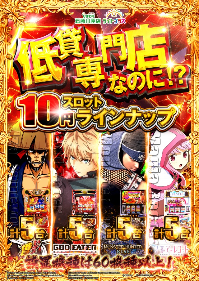 五所川原ひまわりの最新情報画像