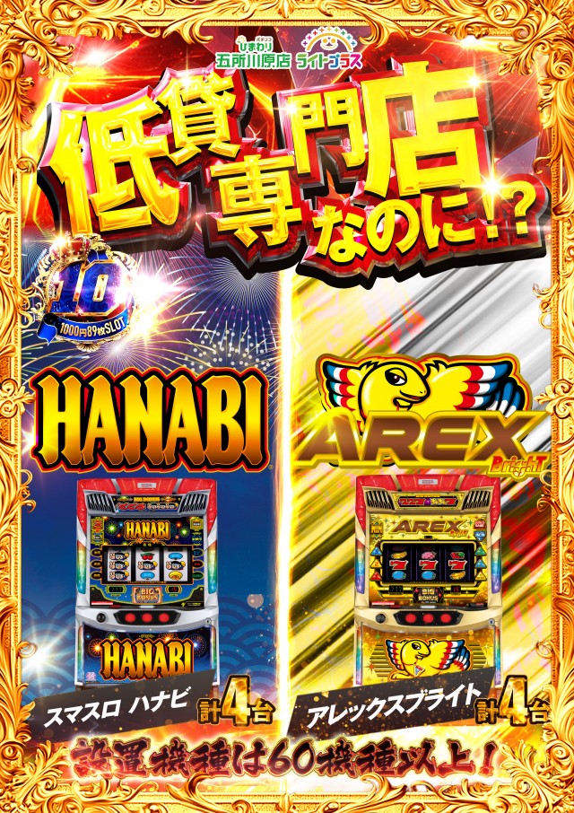 五所川原ひまわりの最新情報画像