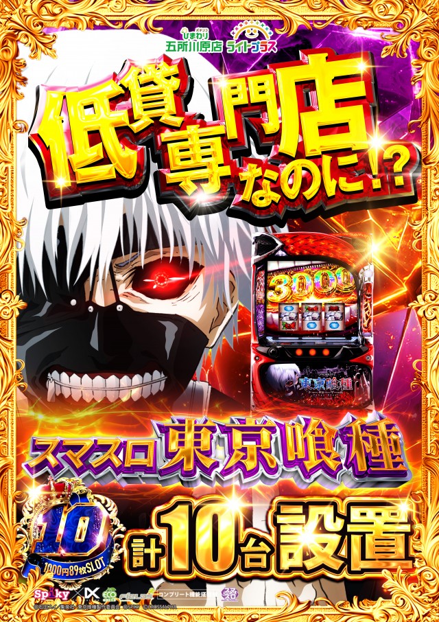 五所川原ひまわりの最新情報画像