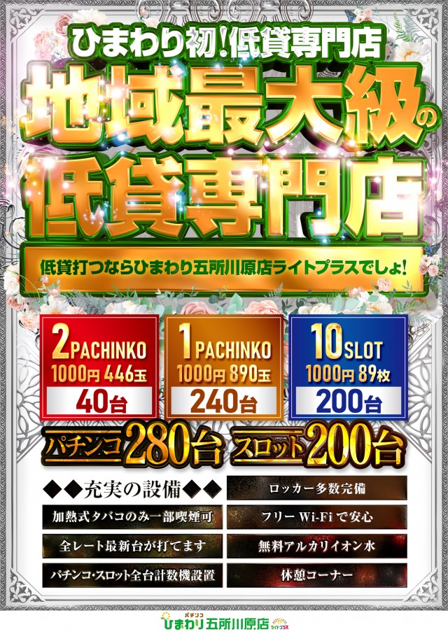 五所川原ひまわりの最新情報画像