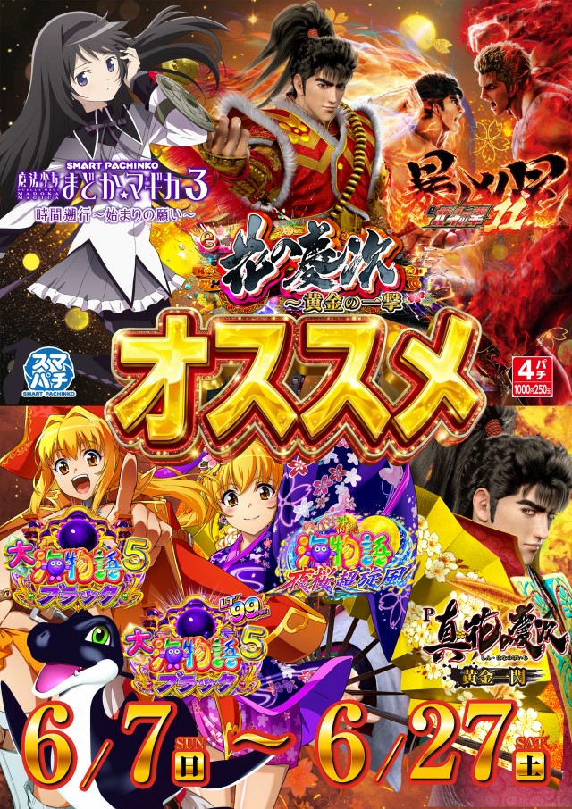 大曲ひまわりの最新情報画像