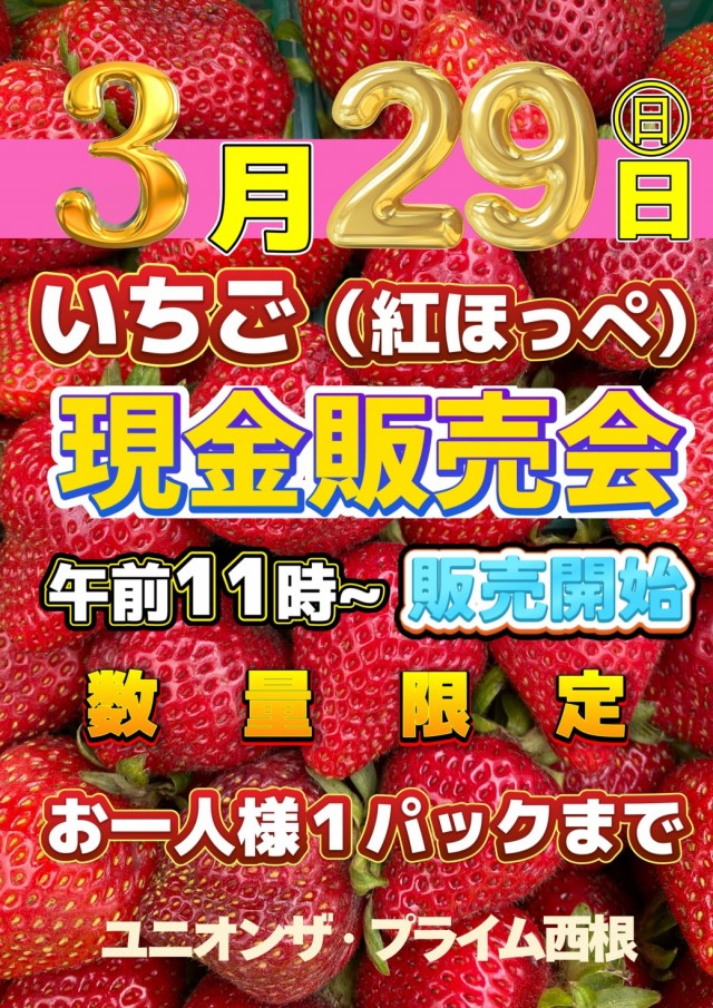 ユニオン　ザ・プライム西根の最新情報画像