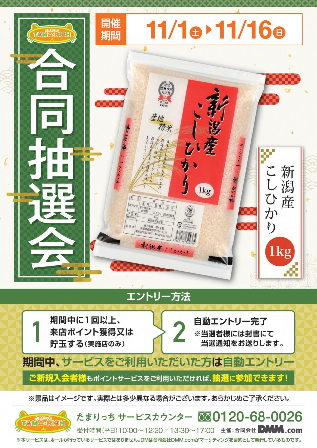 多賀城ひまわりの最新情報画像