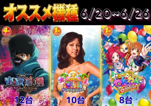 多賀城ひまわりの最新情報画像