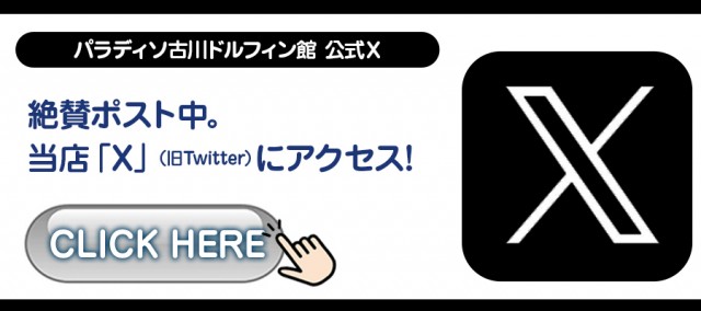 パラディソ古川ドルフィン館の最新情報画像