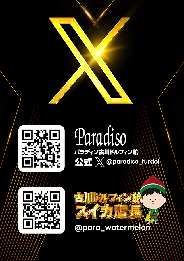 パラディソ古川ドルフィン館の最新情報画像