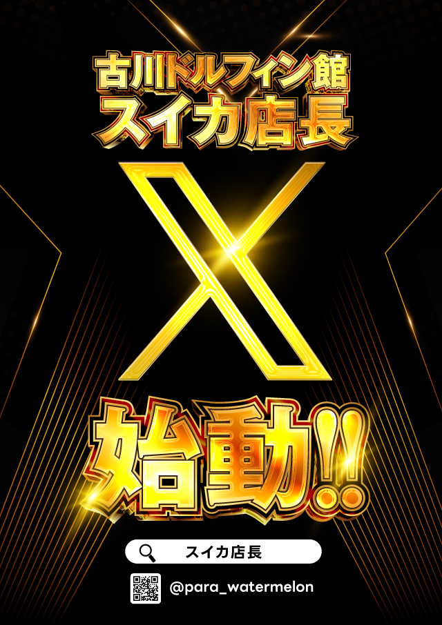 パラディソ古川ドルフィン館の最新情報画像