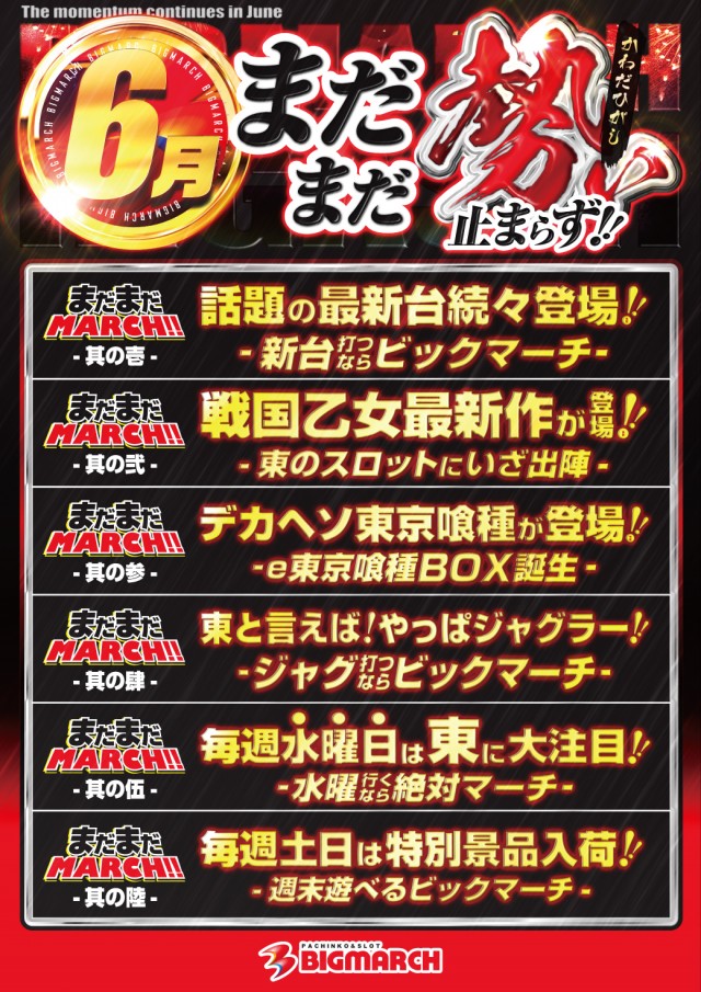 ビックマーチ河和田東店の最新情報画像