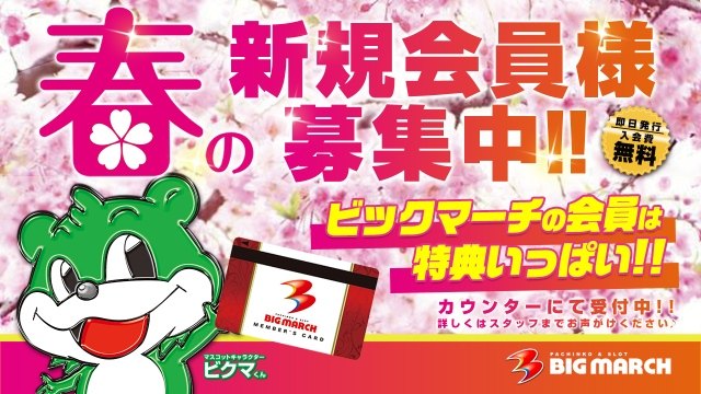 ビックマーチ渡里店の最新情報画像