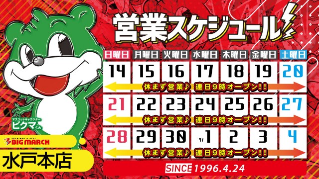 ビックマーチ水戸本店の最新情報画像