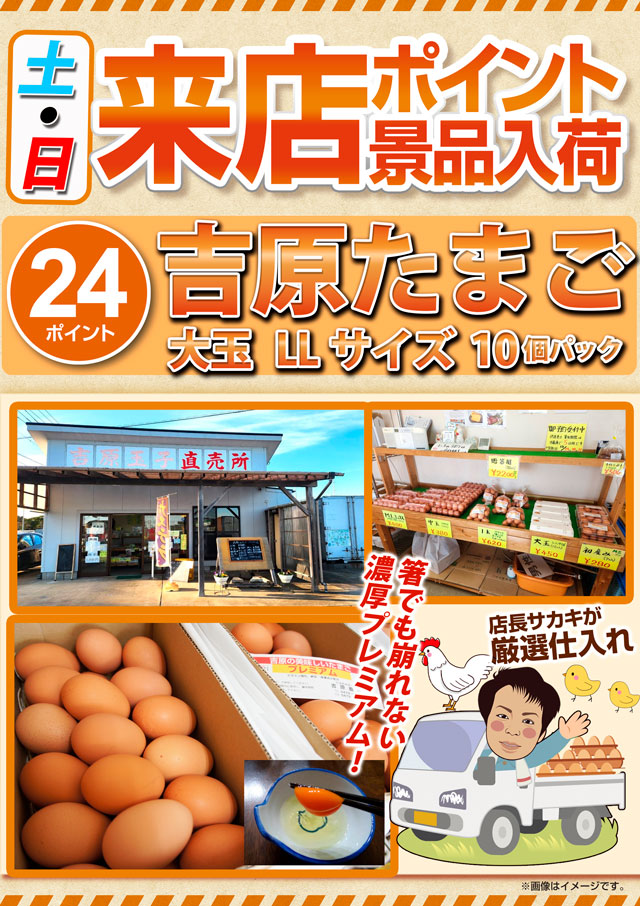 ロイヤル波崎店の最新情報画像