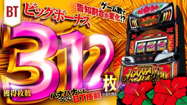 ニューキングハナハナV-30