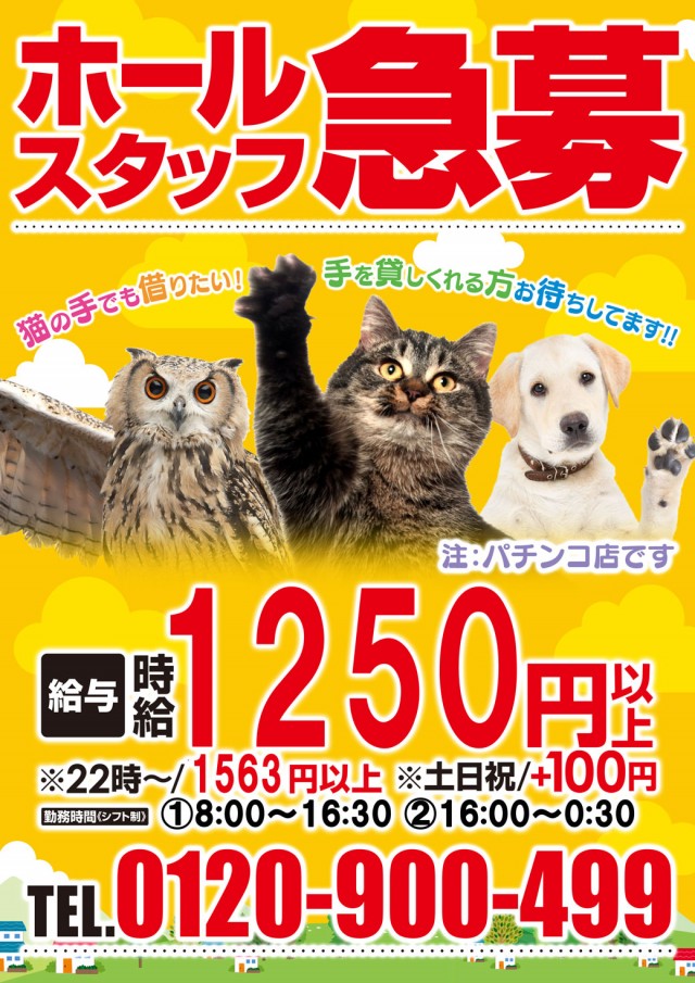 ＭＧＭ鉾田店の最新情報画像