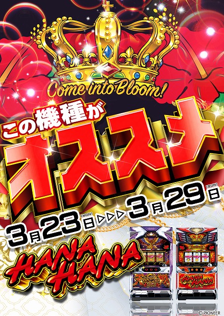 マックス・ヤナセの最新情報画像