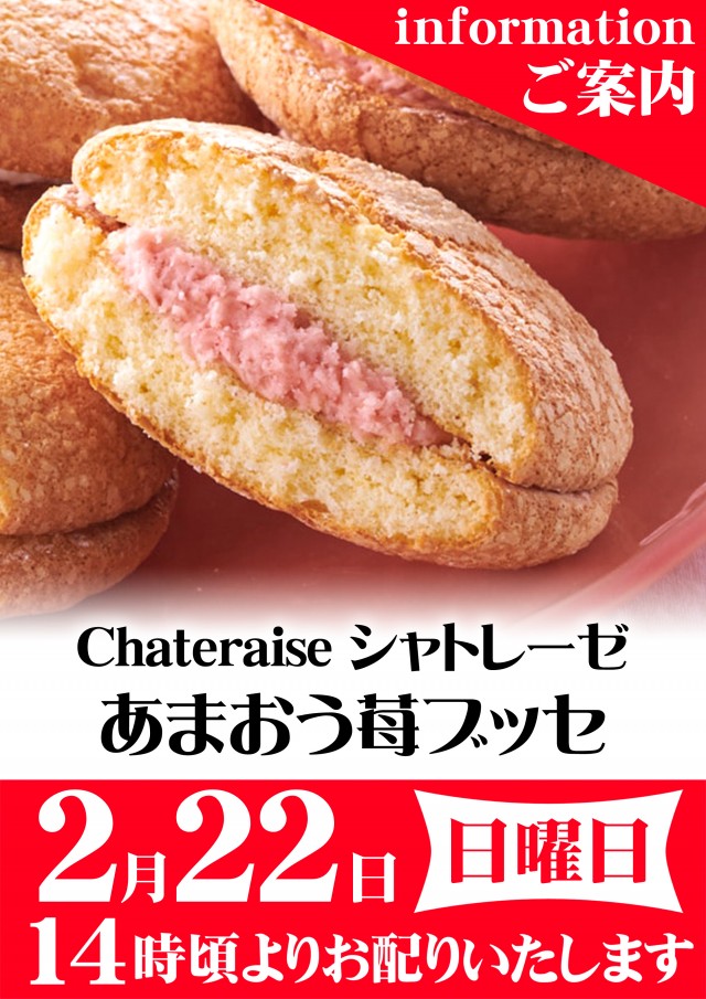 エスタディオ東松山の最新情報画像