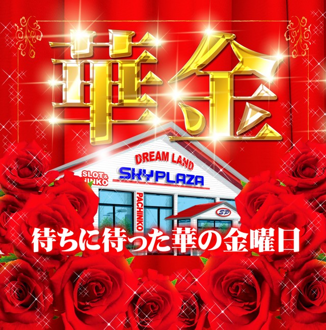 スカイプラザ大井店の最新情報画像