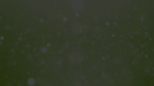 ガイア西船橋店​の最新情報画像