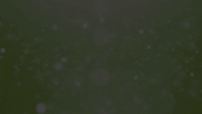 ガイア西船橋店​の最新情報画像