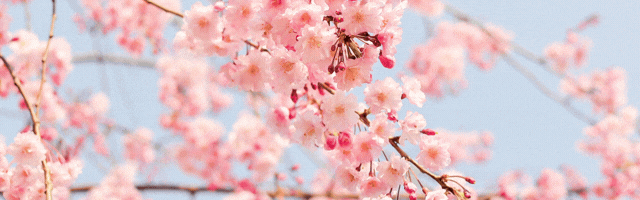 SKIP館山店の最新情報画像