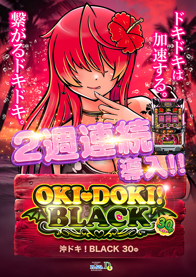 プラザDo木更津店の最新情報画像