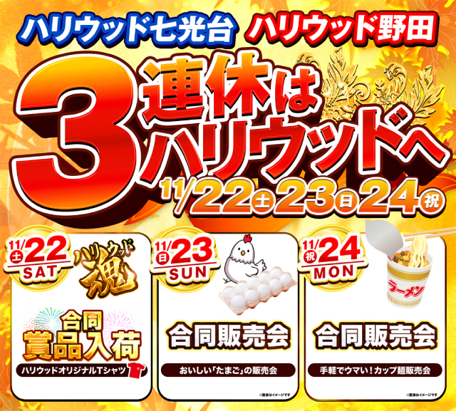 ハリウッド七光台の最新情報画像