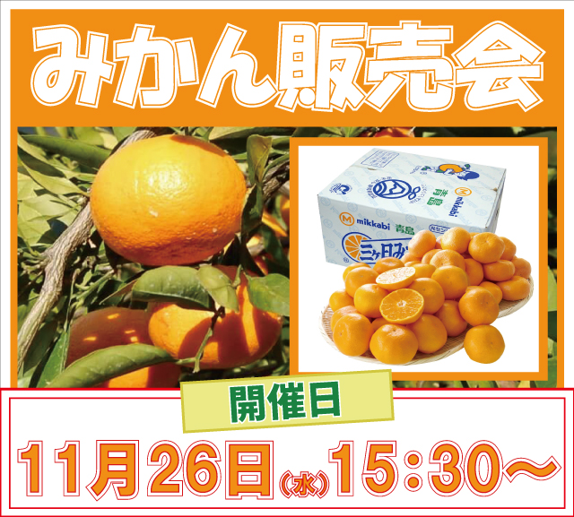 ハリウッド七光台の最新情報画像