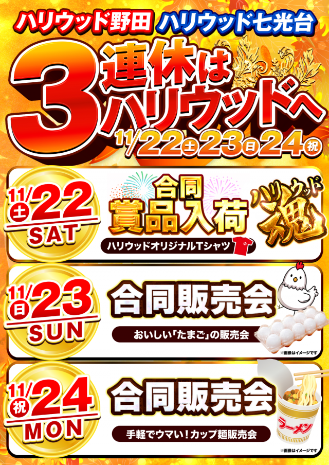 ハリウッド野田の最新情報画像