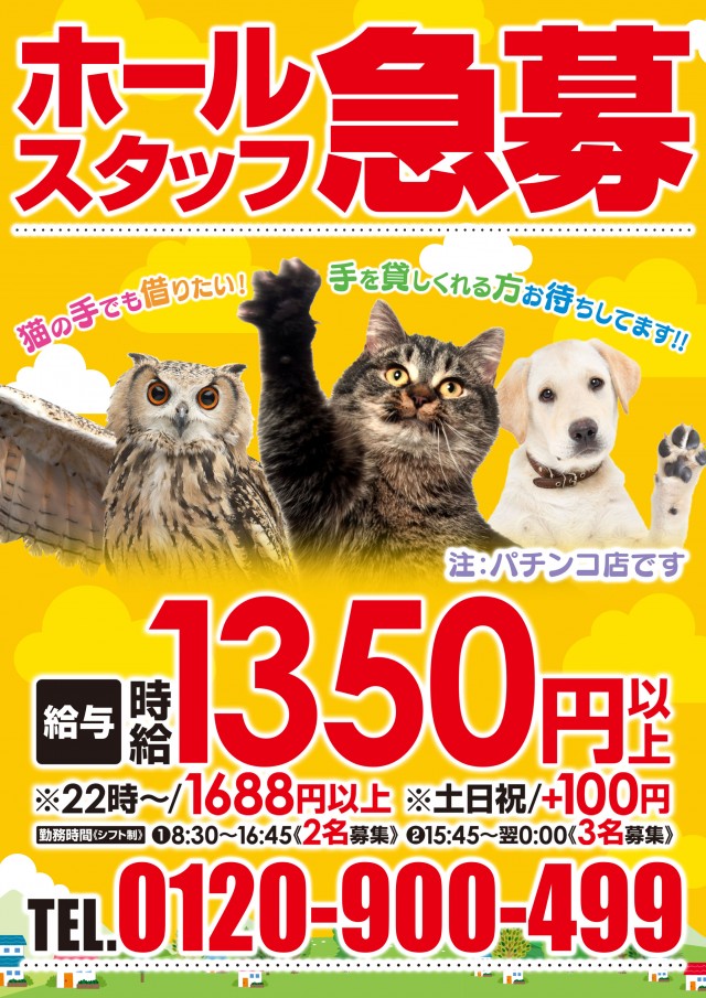 MGM成田店の最新情報画像