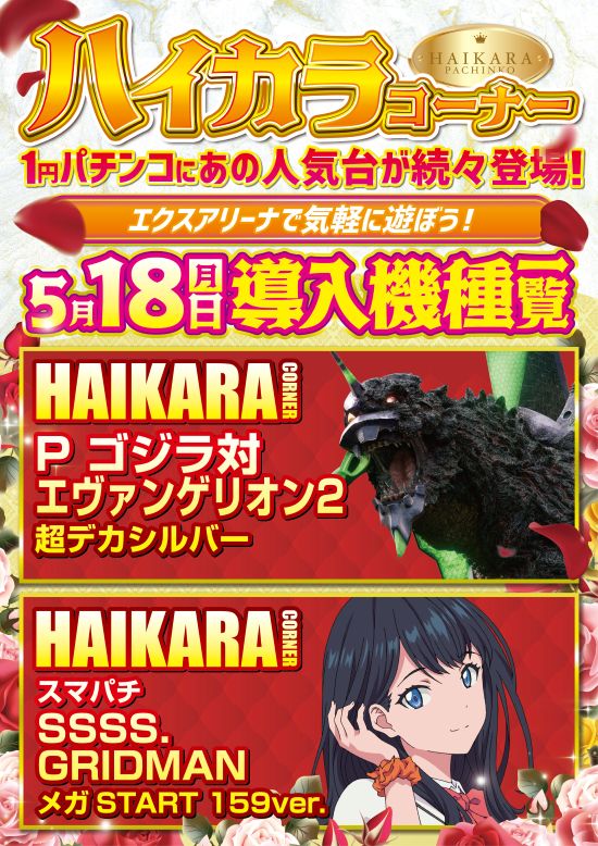 エクス・アリーナ柏店の最新情報画像