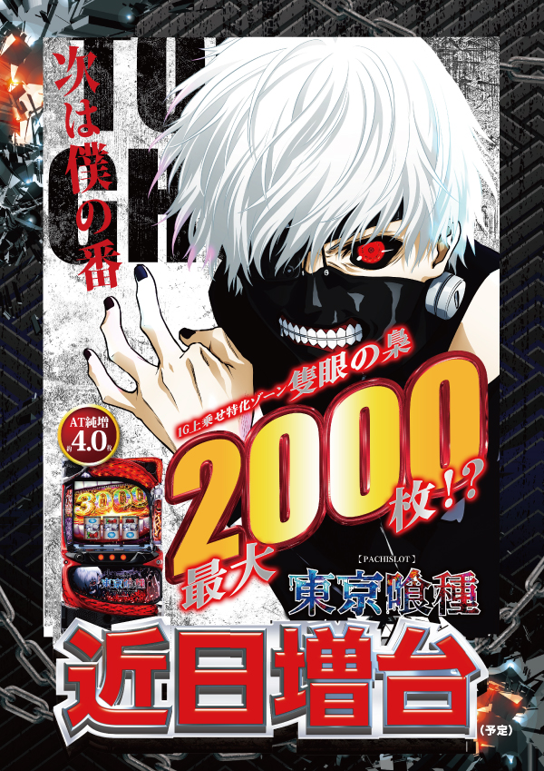 フェスタ8の最新情報画像