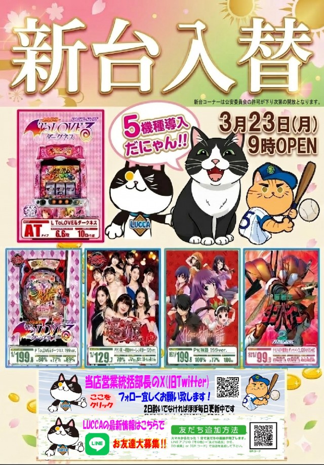 LUCCAの最新情報画像