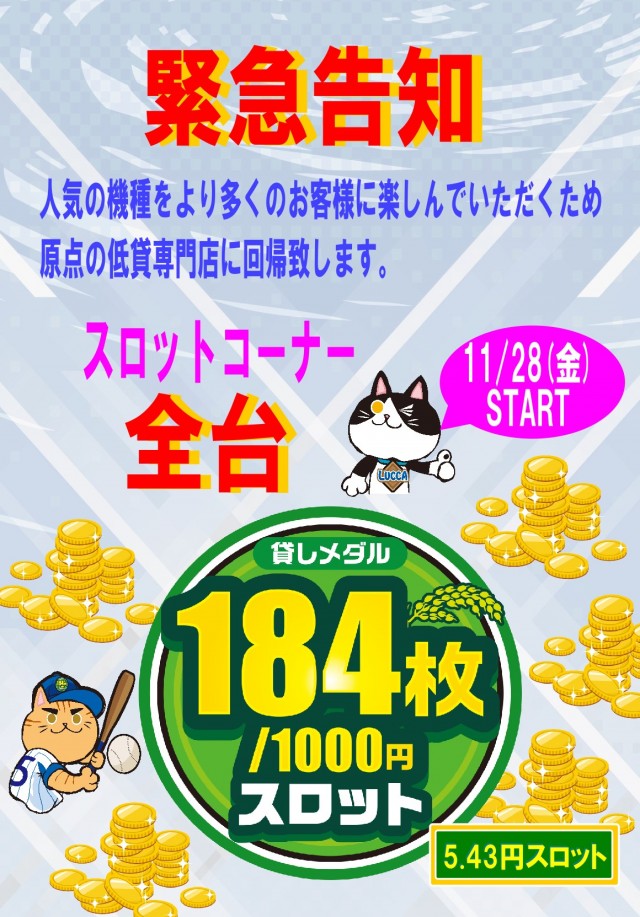 LUCCAの最新情報画像