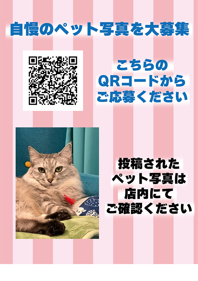 ニュー太平の最新情報画像