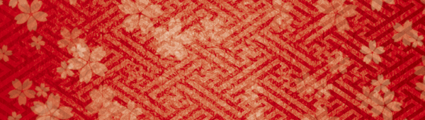 アクセス川崎店の最新情報画像