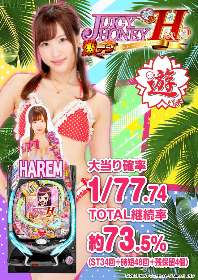 ターキーの最新情報画像